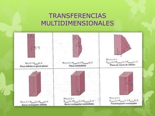 TRANSFERENCIAS
MULTIDIMENSIONALES
 