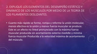 2. EXPLIQUE LOS ELEMENTOS DEL DESEMPEÑO ESTÁTICO Y
DINÁMICO DE LOS MÚSCULOS POR MEDIO DE LA TEORÍA DE
LOS FILAMENTOS DESLIZANTES.
• Cuanto más rápido se forme, rompa y reforme la unión molecular,
menos efectiva es la unión y menos fuerza muscular se produce.
Este es un efecto no lineal pronunciado con la máxima fuerza
muscular producida sin acortamiento externo medidle y mínima
fuerza muscular Producida a la velocidad máxima de acortamiento
del músculo.
 