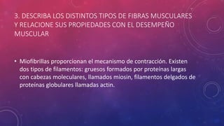 3. DESCRIBA LOS DISTINTOS TIPOS DE FIBRAS MUSCULARES
Y RELACIONE SUS PROPIEDADES CON EL DESEMPEÑO
MUSCULAR
• Miofibrillas proporcionan el mecanismo de contracción. Existen
dos tipos de filamentos: gruesos formados por proteínas largas
con cabezas moleculares, llamados miosin, filamentos delgados de
proteínas globulares llamadas actin.
 