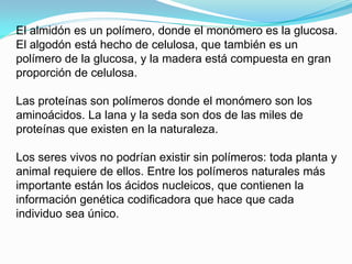 El almidón es un polímero, donde el monómero es la glucosa.
El algodón está hecho de celulosa, que también es un
polímero de la glucosa, y la madera está compuesta en gran
proporción de celulosa.

Las proteínas son polímeros donde el monómero son los
aminoácidos. La lana y la seda son dos de las miles de
proteínas que existen en la naturaleza.

Los seres vivos no podrían existir sin polímeros: toda planta y
animal requiere de ellos. Entre los polímeros naturales más
importante están los ácidos nucleicos, que contienen la
información genética codificadora que hace que cada
individuo sea único.
 