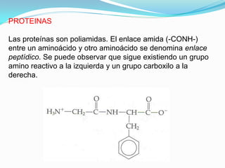 PROTEINAS

Las proteínas son poliamidas. El enlace amida (-CONH-)
entre un aminoácido y otro aminoácido se denomina enlace
peptídico. Se puede observar que sigue existiendo un grupo
amino reactivo a la izquierda y un grupo carboxilo a la
derecha.
 