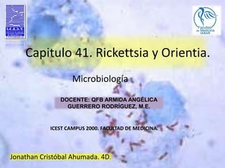 Capitulo 41. Rickettsia y Orientia.
Jonathan Cristóbal Ahumada. 4D.
Microbiología
DOCENTE: QFB ARMIDA ANGÉLICA
GUERRERO RODRÍGUEZ, M.E.
ICEST CAMPUS 2000. FACULTAD DE MEDICINA.
 