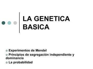 LA GENETICA
BASICA
 Experimentos de Mendel
 Principios de segregación independiente y
dominancia
 La probabilidad
 