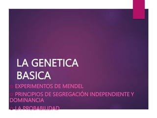 LA GENETICA
BASICA
 EXPERIMENTOS DE MENDEL
 PRINCIPIOS DE SEGREGACIÓN INDEPENDIENTE Y
DOMINANCIA
 LA PROBABILIDAD
 