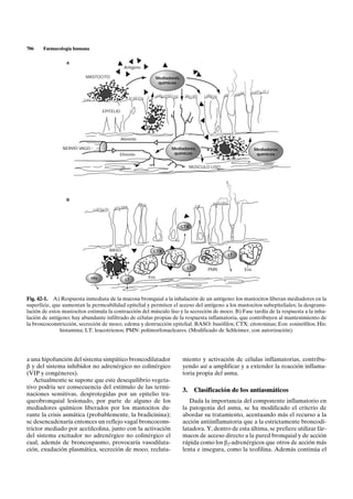 Broncodi Capitulo 42 | PDF