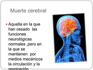 Muerte cerebral

 Aquella en la que
 han cesado las
 funciones
 neurológicas
 normales ,pero en
 la que se
 mantienen por
 medios mecánicos
 la circulación y la
 