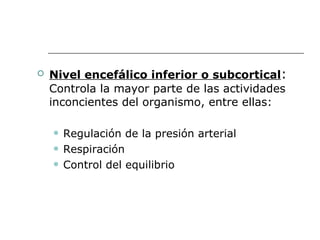 Nivel encefálico inferior o subcortical :  Controla la mayor parte de las actividades inconcientes del organismo, entre ellas:  Regulación de la presión arterial Respiración Control del equilibrio 