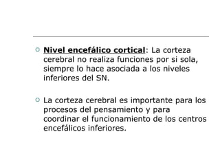 Nivel encefálico cortical : La corteza cerebral no realiza funciones por si sola, siempre lo hace asociada a los niveles inferiores del SN. La corteza cerebral es importante para los procesos del pensamiento y para coordinar el funcionamiento de los centros encefálicos inferiores.  