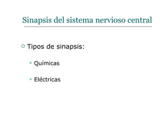 Sinapsis del sistema nervioso central Tipos de sinapsis: Químicas Eléctricas 