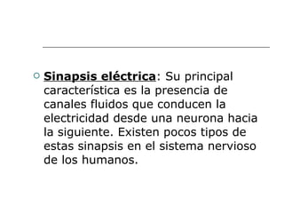 Sinapsis eléctrica : Su principal característica es la presencia de canales fluidos que conducen la electricidad desde una neurona hacia la siguiente. Existen pocos tipos de estas sinapsis en el sistema nervioso de los humanos.  