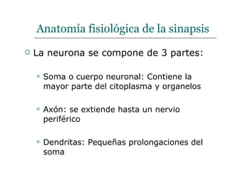 Anatomía fisiológica de la sinapsis La neurona se compone de 3 partes: Soma o cuerpo neuronal: Contiene la mayor parte del citoplasma y organelos  Axón: se extiende hasta un nervio periférico Dendritas: Pequeñas prolongaciones del soma  