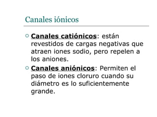 Canales iónicos Canales catiónicos : están revestidos de cargas negativas que atraen iones sodio, pero repelen a los aniones. Canales aniónicos : Permiten el paso de iones cloruro cuando su diámetro es lo suficientemente grande. 