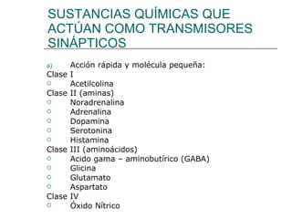 SUSTANCIAS QUÍMICAS QUE ACTÚAN COMO TRANSMISORES SINÁPTICOS Acción rápida y molécula pequeña: Clase I Acetilcolina Clase II (aminas) Noradrenalina Adrenalina Dopamina Serotonina Histamina Clase III (aminoácidos) Acido gama – aminobutírico (GABA) Glicina Glutamato Aspartato Clase IV  Óxido Nítrico 