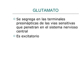 GLUTAMATO Se segrega en las terminales presinápticas de las vias sensitivas que penetran en el sistema nervioso central Es excitatorio 