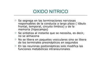 OXIDO NITRICO Se segrega en las terminaciones nerviosas responsables de la conducta a largo plazo ( lóbulo frontal, temporal, circuito límbico) y de la memoria (hipocampo) Se sintetiza al instante que se necesita, es decir, no se almacena No se libera en paquetes vesiculares sino se libera de los terminales presinápticos en segundos En las neuronas postsinápticas solo modifica las funciones metabólicas intraneuronales 
