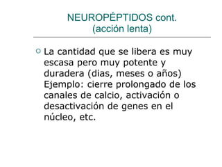 NEUROPÉPTIDOS cont. (acción lenta) La cantidad que se libera es muy escasa pero muy potente y duradera (dias, meses o años) Ejemplo: cierre prolongado de los canales de calcio, activación o desactivación de genes en el núcleo, etc. 