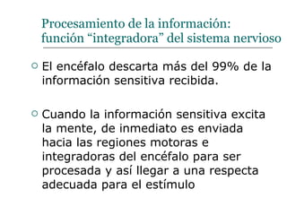 Procesamiento de la información:  función “integradora” del sistema nervioso El encéfalo descarta más del 99% de la información sensitiva recibida. Cuando la información sensitiva excita la mente, de inmediato es enviada hacia las regiones motoras e integradoras del encéfalo para ser procesada y así llegar a una respecta adecuada para el estímulo  