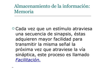Almacenamiento de la información: Memoria Cada vez que un estímulo atraviesa una secuencia de sinapsis, éstas adquieren mayor facilidad para transmitir la misma señal la próxima vez que atraviese la vía sináptica, este proceso es llamado  Facilitación. 