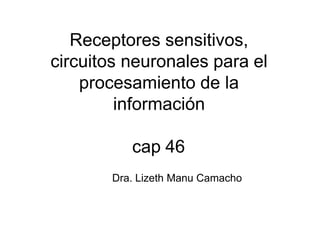 Receptores sensitivos,
circuitos neuronales para el
procesamiento de la
información
cap 46
Dra. Lizeth Manu Camacho
 