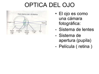 OPTICA DEL OJO El ojo es como una cámara fotográfica:  Sistema de lentes Sistema de apertura (pupila)  Película ( retina ) 