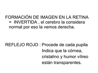 FORMACIÓN DE IMAGEN EN LA RETINA =  INVERTIDA , el cerebro la considera normal por eso la vemos derecha. REFLEJO ROJO : Procede de cada pupila   Indica que la córnea,    cristalino y humor vítreo    están transparentes. 