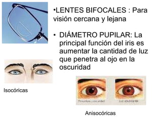 DIÁMETRO PUPILAR: La principal función del iris es aumentar la cantidad de luz que penetra al ojo en la oscuridad LENTES BIFOCALES : Para visión cercana y lejana Isocóricas Anisocóricas 