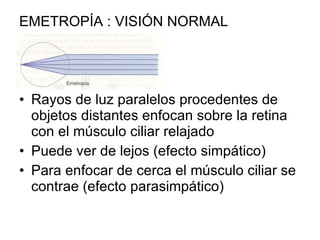 EMETROPÍA : VISIÓN NORMAL Rayos de luz paralelos procedentes de objetos distantes enfocan sobre la retina con el músculo ciliar relajado Puede ver de lejos (efecto simpático) Para enfocar de cerca el músculo ciliar se contrae (efecto parasimpático) 