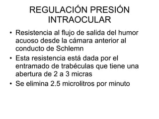 REGULACIÓN PRESIÓN INTRAOCULAR Resistencia al flujo de salida del humor acuoso desde la cámara anterior al conducto de Schlemn Esta resistencia está dada por el entramado de trabéculas que tiene una abertura de 2 a 3 micras Se elimina 2.5 microlitros por minuto 