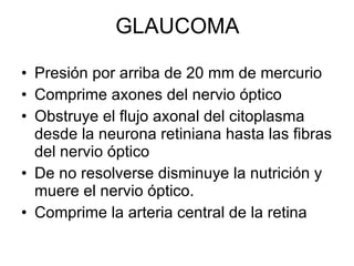 GLAUCOMA Presión por arriba de 20 mm de mercurio  Comprime axones del nervio óptico Obstruye el flujo axonal del citoplasma desde la neurona retiniana hasta las fibras del nervio óptico De no resolverse disminuye la nutrición y muere el nervio óptico. Comprime la arteria central de la retina 