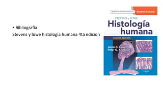 • Bibliografía
Stevens y lowe histología humana 4ta edicion
 