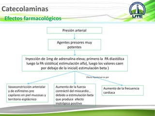 Catecolaminas
Efectos farmacológicos
Presión arterial
Agentes presores muy
potentes
Inyección de 1mg de adrenalina eleva; primero la PA diastólica
luego la PA sistólica( estimulación alfa), luego los valores caen
por debajo de la inicial( estimulación beta )
Efecto hipotensor es por
Vasoconstricción arteriolar
y de esfínteres pre
capilares en piel mucosas y
territorio esplácnico
Aumento de la fuerza
contráctil del miocardio ,
debido a estimulación beta
que produce efecto
inotrópico positivo
Aumento de la frecuencia
cardiaca
 