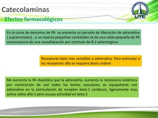 Catecolaminas
Efectos farmacológicos
En la curva de descenso de PA se presenta un periodo de liberación de adrenalina
( suprarrenales) , si se inyecta pequeñas cantidades se da una caída pequeña de PA
consecuencia de una vasodilatación por estimulo de B-2 adrenérgicos
Receptores beta mas sensibles a adrenalina. Para estimular a
los receptores alfa se requiere dosis umbral
NA aumenta la PA diastólica que la adrenalina, aumenta la resistencia sistémica
por constricción de casi todos los lechos vasculares, es equipotente con
adrenalina en la estimulación de receptor beta-1 cardiacos, ligeramente mas
activa sobre alfa-1 pero escasa actividad en beta-2
 