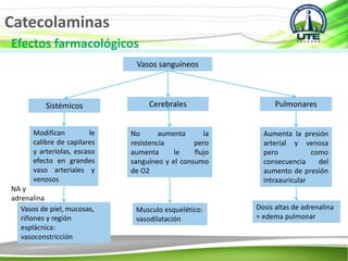 Catecolaminas
Efectos farmacológicos
Vasos sanguíneos
Sistémicos Cerebrales Pulmonares
Modifican le
calibre de capilares
y arteriolas, escaso
efecto en grandes
vaso arteriales y
venosos
NA y
adrenalina
Vasos de piel, mucosas,
riñones y región
esplácnica:
vasoconstricción
Musculo esquelético:
vasodilatación
No aumenta la
resistencia pero
aumenta le flujo
sanguíneo y el consumo
de O2
Aumenta la presión
arterial y venosa
pero como
consecuencia del
aumento de presión
intraauricular
Dosis altas de adrenalina
= edema pulmonar
 
