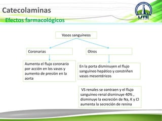 Catecolaminas
Efectos farmacológicos
Vasos sanguíneos
Coronarias Otros
En la porta disminuyen el flujo
sanguíneo hepático y constriñen
vasos mesentéricos
VS renales se contraen y el flujo
sanguíneo renal disminuye 40% ,
disminuye la excreción de Na, K y Cl
aumenta la secreción de renina
Aumenta el flujo coronario
por acción en los vasos y
aumento de presión en la
aorta
 