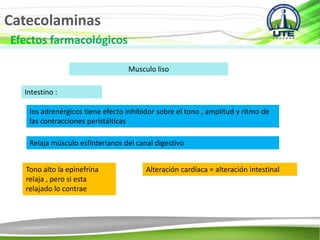 Catecolaminas
Efectos farmacológicos
Musculo liso
Intestino :
los adrenérgicos tiene efecto inhibidor sobre el tono , amplitud y ritmo de
las contracciones peristálticas
Relaja músculo esfinterianos del canal digestivo
Tono alto la epinefrina
relaja , pero si esta
relajado lo contrae
Alteración cardíaca = alteración intestinal
 