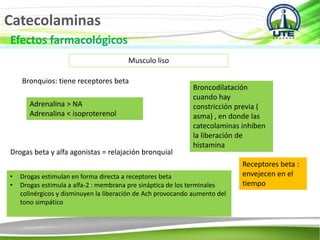 Catecolaminas
Efectos farmacológicos
Musculo liso
Bronquios: tiene receptores beta
Adrenalina > NA
Adrenalina < isoproterenol
Broncodilatación
cuando hay
constricción previa (
asma) , en donde las
catecolaminas inhiben
la liberación de
histamina
Drogas beta y alfa agonistas = relajación bronquial
• Drogas estimulan en forma directa a receptores beta
• Drogas estimula a alfa-2 : membrana pre sináptica de los terminales
colinérgicos y disminuyen la liberación de Ach provocando aumento del
tono simpático
Receptores beta :
envejecen en el
tiempo
 