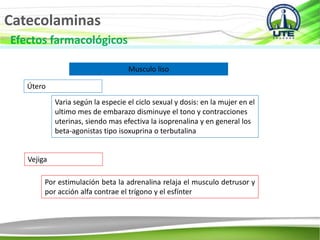 Catecolaminas
Efectos farmacológicos
Musculo liso
Útero
Varia según la especie el ciclo sexual y dosis: en la mujer en el
ultimo mes de embarazo disminuye el tono y contracciones
uterinas, siendo mas efectiva la isoprenalina y en general los
beta-agonistas tipo isoxuprina o terbutalina
Vejiga
Por estimulación beta la adrenalina relaja el musculo detrusor y
por acción alfa contrae el trígono y el esfínter
 