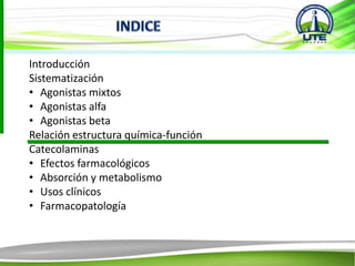 Introducción
Sistematización
• Agonistas mixtos
• Agonistas alfa
• Agonistas beta
Relación estructura química-función
Catecolaminas
• Efectos farmacológicos
• Absorción y metabolismo
• Usos clínicos
• Farmacopatología
 
