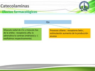 Catecolaminas
Efectos farmacológicos
Ojo
Músculo radial de iris y músculo liso
de la orbita : receptores alfa; la
adrenalina lo contrae (midriasis) y (
exoftalmos respectivamente)
Procesos ciliares : receptores beta ;
estimulación aumento de la producción
acuosa
 