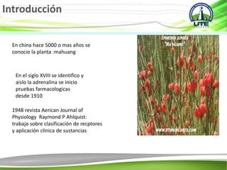 Introducción
En china hace 5000 o mas años se
conocio la planta :mahuang
En el siglo XVIII se identifico y
aislo la adrenalina se inicio
pruebas farmacologicas
desde 1910
1948 revista Aerican Journal of
Physiology Raymond P Ahlquist:
trabajo sobre clasificación de recptores
y aplicación clinica de sustancias
 