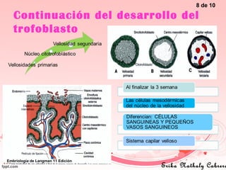 Continuación del desarrollo del
trofoblasto
8 de 10
Erika Nathaly Cabrera
Embriología de Langman 11 Edición
 
