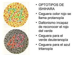 OPTOTIPOS DE ISHIHARA Ceguera color rojo se llama protanopía Daltonismo incapaz de reconocer el rojo del verde Ceguera para el verde deuteranopía  Ceguera para el azul tritanopía 