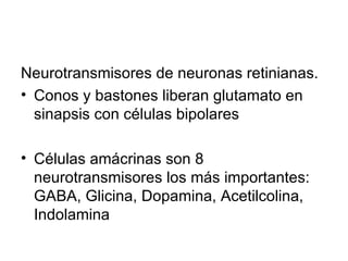 Neurotransmisores de neuronas retinianas. Conos y bastones liberan glutamato en sinapsis con células bipolares  Células amácrinas son 8 neurotransmisores los más importantes: GABA, Glicina, Dopamina, Acetilcolina, Indolamina 