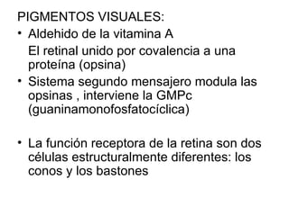PIGMENTOS VISUALES: Aldehido de la vitamina A El retinal unido por covalencia a una proteína (opsina) Sistema segundo mensajero modula las opsinas , interviene la GMPc (guaninamonofosfatocíclica) La función receptora de la retina son dos células estructuralmente diferentes: los conos y los bastones 