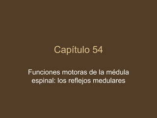Capítulo 54 Funciones motoras de la médula espinal: los reflejos medulares 
