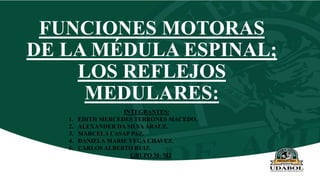 FUNCIONES MOTORAS
DE LA MÉDULA ESPINAL;
LOS REFLEJOS
MEDULARES:
INTEGRANTES:
1. EDITH MERCEDES TERRONES MACEDO.
2. ALEXANDER DA SILVA ARAUZ.
3. MARCELA CASAP PAZ.
4. DANIELA MARIE VEGA CHAVEZ.
5. CARLOS ALBERTO RUIZ.
GRUPO M- M2
 
