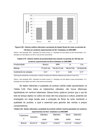 Figura 5.20 - Valores médios referentes a produção de hastes florais de rosas no período de
120 dias em canteiros experimentais de 9m2
instalados na UNICAMP.
*Branco - Sem adubação; NPK - Adubação com adubo mineral; 1x - Adubação com lodo séptico na taxa recomendada; 1,5 x -
adubação com lodo séptico com 50% a mais da taxa recomendada
Tabela 5.19 - Valores médios da produtividade das roseiras no período de 120 dias em
canteiros experimentais de 9m2 instalados na UNICAMP.
Produtividade Branco NPK 1x 1,5x
Médias 77,0±31,4a 124,5±13,7ab 146,5±7,6b 143,8±24,6b
Coeficiente de variação 0,41 0,11 0,05 0,17
*letras iguais representam correspondem a valores de médias sem diferença estatística pelo teste de Tukey (5%)
*Branco - Sem adubação; NPK - Adubação com adubo mineral; 1x - Adubação com lodo séptico na taxa recomendada; 1,5 x-
adubação com lodo séptico com 50% a mais da taxa recomendada
Os dados referentes à qualidade do produto colhido estão apresentados na
Tabela 5.20. Para todos os tratamentos utilizados, não houve diferenças
significativas em nenhum tratamento. Dessa forma, pode-se concluir que o uso de
lodo de tanque séptico no cultivo de rosas não traz prejuízos à cultura, podendo ser
empregado em larga escala para a produção de flores de corte mantendo a
qualidade do produto, a qual é essencial para garantia das vendas a preços
compensatórios.
Tabela 5.20 - Dados referentes a qualidade do produto colhido roseiras plantadas em canteiros
experimentais de 9m2 instalados na UNICAMP.
Tratamento
s
Tamanho
Diâmetro
caule
Diâmetro
botão
Altura
botão
Diâmetro
menor
Branco 40,4±7,2* 0,6±0,1* 3,3±0,5* 4,7±1,8* 0,3±0,4*
 