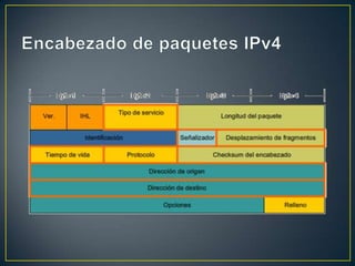 Encabezado de paquetes IPv4