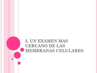 5. UN EXAMEN MAS
CERCANO DE LAS
MEMBRANAS CELULARES
 