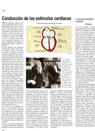 1906




Conducción de los estímulos cardíacos                                                                                 La escuela histológica
                                                                                                                      española
1906. El patólogo alemán Lud-                          Conducción de los estímulos en el corazón
wig Aschoff (1866-1942) y su co-                                                                                                 Entorno
laborador japonés Sunao Tawara                                                                                        En 1906, después de habe
(1873-1952) reconocen en el no-                                                                                       sido galardonado con el Premie
dulo auriculoventricular, el centro                                                                                   Nobel, que compartió con Gol
(secundario) de formación de los                                                                                      gi, y tras un amplio reconoci
impulsos. Tawara describe con                                                                                         miento internacional, Ramón >
toda precisión, en una monografía                                                                                     Cajal cuenta por primera ve;
de 1906, el Sistema de conduc-                                                                                        con un mínimo de ingresos qu<
ción de los estímulos del corazón                                                                                     le permiten crear su propio ins
de los mamíferos. Con ello se ex-                                                                                     tituto de investigación. Aque
plica el significado fisiológico de                                                                                   líos que se han dedicado a estu
determinadas fibras y nodulos es-                                                                                     diar su obra han advertido qu<
pecíficos.                                                                                                            Ramón y Cajal contó con do:
Un año después, los británicos                                                                                        grupos de seguidores: De uní
Arthur Keith (1866-1955) y Mar-                                                                                       parte, los colaboradores direc
tin William Flack (1882-1931)                                                                                         tos, que se forjaron al lado de
describen el nodulo sinusoidal                                                                          © Harénberg   maestro, y, por otra, aquello:
(nodulo de Keith-Flack), una es-                                                                                      para quienes su obra fue un es
tructura en forma de coma, del te-                                                                                    tímulo y un ejemplo a seguir.
jido del miocardio situado entre la                                                                                   El primero de los grupos estí
desembocadura de la vena cava                                                                     El patólogo         encabezado por J. F. Tello Mu
superior en el corazón y la aurícu-                                                            Ludwig Aschoff         ñoz (1880-1958), su continua
la derecha, desde la que, por de-                                                              (¡866-1942), que,
                                                                                                                      dor más directo, que en 1924 1<
bajo del epicardio (membrana del                                                               desde 1906, enseña
                                                                                                                      sucedería en su labor universi
miocardio), salen fibras hacia                                                                 en Friburgo de
                                                                                               Brisgovia. Entre
                                                                                                                      taria. Tello se hizo cargo de 1Í
abajo. Se trata del centro primario                                                                                   dirección del Instituto Cajal er
de formación de estímulos, res-                                                                sus principales
                                                                                               logros cabe desta-      1934. A él se deben grande:
ponsable del ritmo propio de la                                                                                       hallazgos en la histogénesis de
                                                                                               car la descripción
acción cardíaca, siendo un marca-                                                                                     sistema nervioso. En el ámbitc
                                                                                               del sistema de con-
pasos (fisiológico) independiente                                                                                     docente, asumió la responsabi-
                                                                                               ducción de los
del resto del sistema nervioso.                                                                estímulos en el co-    lidad de poner al día los texto;
Ya en 1839, el fisiólogo y anato-                                                              razón (nodulo de       universitarios de Ramón y Ca-
mista checo Johannes Evangelista                                                               Aschoff-Tawara), y     jal; además de aportar numero-
Ritter von Purkinje (1787-1867)                                                                sus estudios sobre     sas mejoras técnicas.
había detectado la presencia de fi-                                                            la defensa inmuno-     Con una obra de investigación
bras especiales en las paredes in-                                                             lógica (fotografía     considerable destaca P. del Ríe
teriores del corazón de las ovejas:                                                            de mayo de 1940).      Hortega (1882-1945) al que se
las llamadas fibras de Purkinje,                                                                                      deben unos descubrimientos
que ahora, después del cambio de      de la excitación del corazón, cuya     cargo de la cátedra en Friburgo de       determinantes sobre la oligo-
siglo, se han identificado como       acción se refleja en el electrocar-    Brisgovia. Tawara, que en 1901           dendroglía y la microglía, sir
partes del sistema de conducción      diograma: un sistema muscular          obtiene su doctorado en la Uni-          los cuales es imposible com
de los estímulos. En 1893, el in-     especial del corazón que se encar-     versidad Imperial de Tokyo, estu-        prender el desarrollo de la mo
ternista Wilhelm His (1863-1934),     ga de las funciones nerviosas, y       dia, entre 1903 y 1906, patología        derna neurología. Y por ultime
de Leipzig, descubrió, asimismo,      que es responsable de la forma-        y anatomopatología con Aschoff           cabe destacar también a F. d<
un haz muscular especial que va       ción y la propagación de la excita-    en Marburgo. A partir de entonces        Castro (1896-1967). Entre e
desde las aurículas a los ventrícu-   ción. Esta parte del nodulo sinu-      colabora con Aschoff en los traba-       segundo grupo enunciado si
los («fascículo de His»).             soidal pasa a través de las aurícu-    jos de anatomía y patología del          encuentra L. Achúcarro Lun<
En el año 1913, el británico Al-      las, experimenta en el nodulo AV       corazón que le harían mundial-           (1880-1918), formado en un<
bert F. S. Kent (1863-1958) des-      un retraso, y, después, a través del   mente famoso. Tawara es nombra-          de los centros con más tradi
cribe un haz muscular adicional       fascículo de His, los haces iz-        do catedrático de patología en           ción histológica de Munich
de conducción de la excitación,       quierdo y derecho de Tawara y las      Fukuoka en 1906. Ese mismo año           Las técnicas ideadas por Achú
que en las fases embrionarias pri-    fibras de Purkinje, continúa hasta     aparece su libro redactado con-           carro, el tanino y la plata amo
marias del ser humano es fisioló-     la musculatura ventricular.            juntamente con Aschoff en ale-            niacal, con las que realizó cer
gico {bundle ofKent) y hace posi-     La relación del patólogo Ludwig        mán Die heutige Lehre von den             teras precisiones sobre la estruc
ble una excitación inmediata de       Aschoff con su colega Sunao Ta-        pathologisch-anatomischen                 tura de la neurología, abriero
los ventrículos desde el nodulo si-   wara es ejemplar. Aschoff se doc-       Grundlagen der Herzschwáche.             numerosas vías de estudio; s
nusoidal.                             tora en 1894 en anatomía patoló-       Tawara es uno de los numerosos            muerte prematura fue uno d
Gracias a estos descubrimientos       gica en Gotinga, y, en 1903, ob-       médicos japoneses que continúan           los sucesos más tristes en 1
se ha podido dilucidar morfológi-     tiene la correspondiente cátedra       sus trabajos de investigación en          historia de la ciencia española
camente el sistema de conducción      en Marburgo. En 1906 se hace           Alemania.

364
 